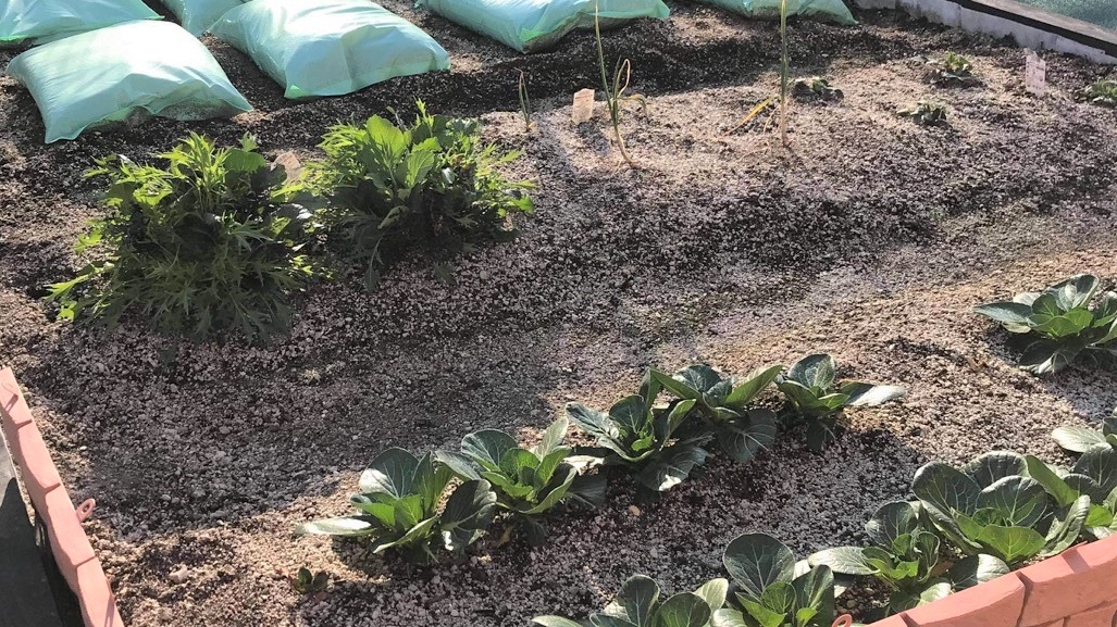 屋上菜園の作り方【施工の流れ】 | m3-firm blog