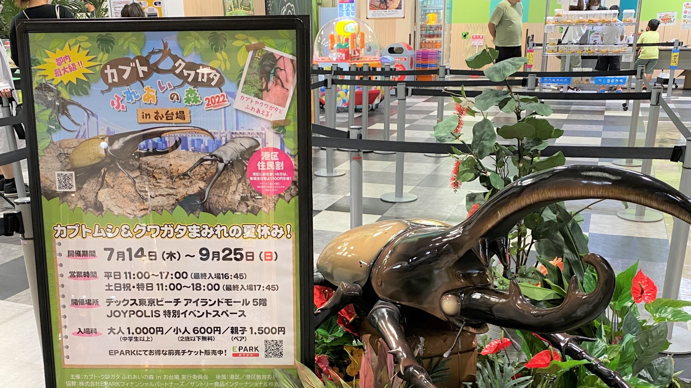 夏休み 親子カブト クワガタ体験 ふれあいの森お台場をレポート M3 Firm Blog