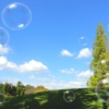 Thumbnail of related posts 003