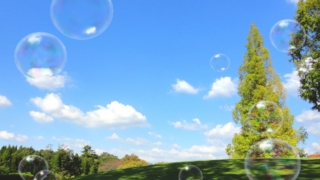 Thumbnail of post image 120