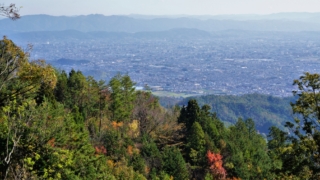 Thumbnail of post image 143