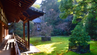 Thumbnail of post image 144