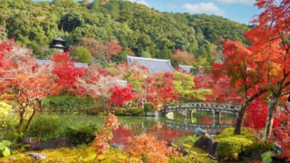 Thumbnail of post image 038