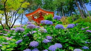 Thumbnail of post image 152