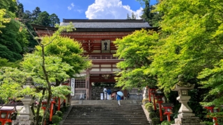 Thumbnail of post image 004