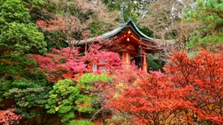 Thumbnail of post image 095