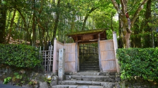 Thumbnail of post image 174