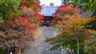 Thumbnail of post image 182