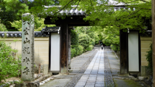 Thumbnail of post image 113