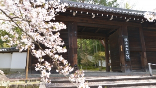 Thumbnail of post image 055