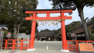 Thumbnail of post image 160