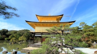 Thumbnail of post image 125