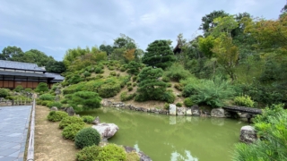 Thumbnail of post image 078