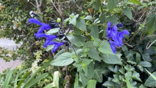 Thumbnail of new posts 150