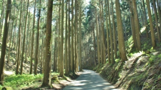 Thumbnail of post image 059