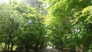 Thumbnail of post image 097