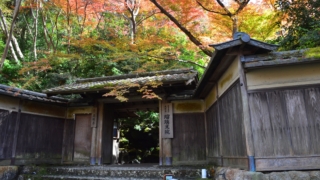 Thumbnail of post image 184