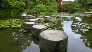 Thumbnail of post image 175