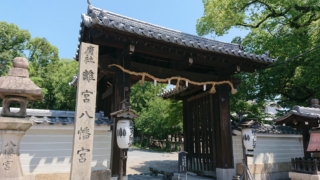 Thumbnail of post image 197