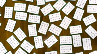 Thumbnail of new posts 009