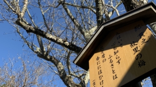 Thumbnail of post image 081