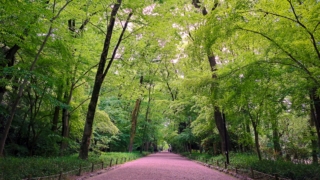 Thumbnail of post image 064