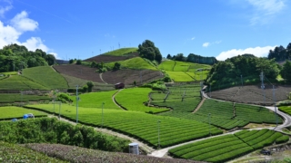 Thumbnail of post image 080