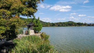 Thumbnail of post image 147