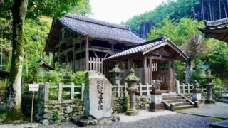 Thumbnail of post image 186