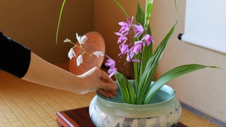 Thumbnail of new posts 055