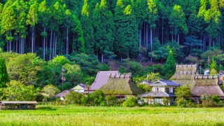 Thumbnail of new posts 107