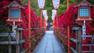 Thumbnail of post image 008