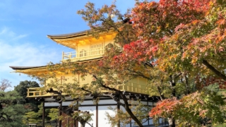 Thumbnail of post image 013