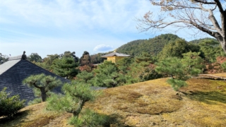 Thumbnail of post image 152