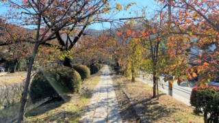 Thumbnail of post image 020