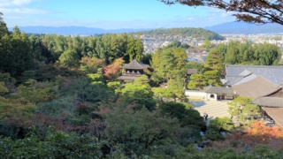 Thumbnail of post image 158