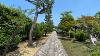 Thumbnail of post image 060