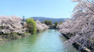 Thumbnail of post image 189