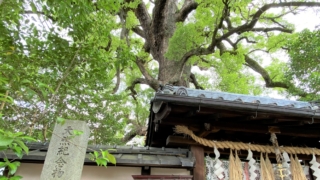 Thumbnail of post image 009