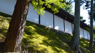 Thumbnail of new posts 005