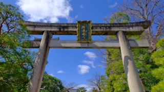 Thumbnail of post image 037