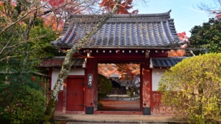 Thumbnail of post image 063