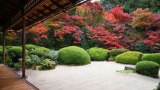 Thumbnail of post image 021