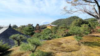 Thumbnail of post image 069