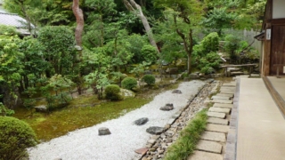 Thumbnail of new posts 057