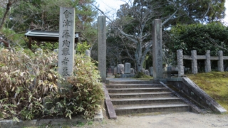 Thumbnail of new posts 167