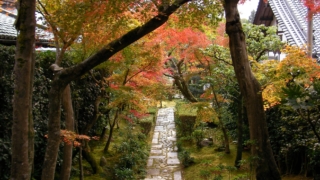 Thumbnail of new posts 181