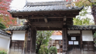 Thumbnail of new posts 141