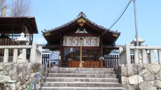 Thumbnail of new posts 028