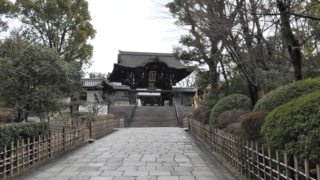 Thumbnail of new posts 119